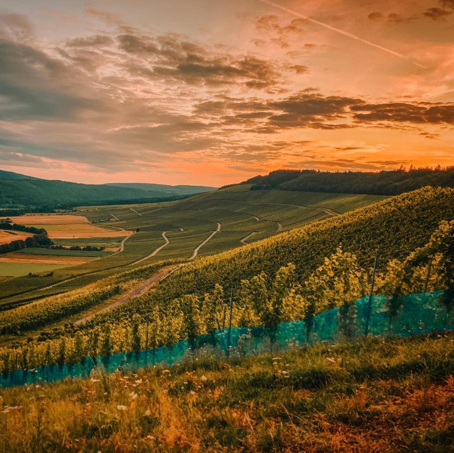 Ferienwohnung Moselmomente Лизер Экстерьер фото